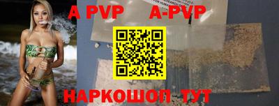 гашик Моздок