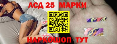 гашик Моздок