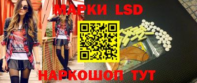гашик Моздок
