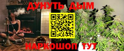гашик Моздок