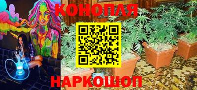 сатива Можайск