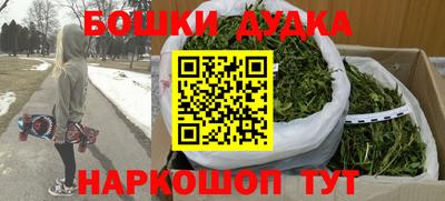 гашик Моздок