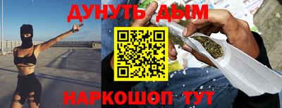 гашик Моздок