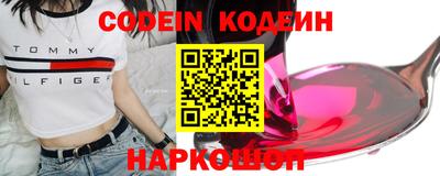 гашик Моздок