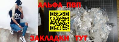 гашик Моздок