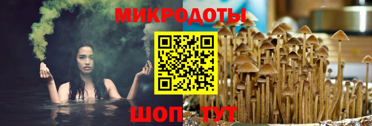 Псилоцибиновые грибы MAGIC MUSHROOMS Тайшет