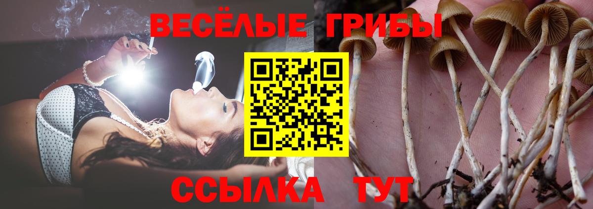 Галлюциногенные грибы ЛСД  цена наркотик  Тайшет  Вход с VPN 